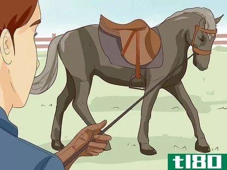 Image titled Break a Horse Step 22