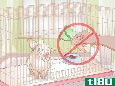Image titled Calm a Vicious Rabbit Step 11