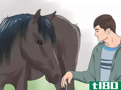 Image titled Approach Your Horse Step 7