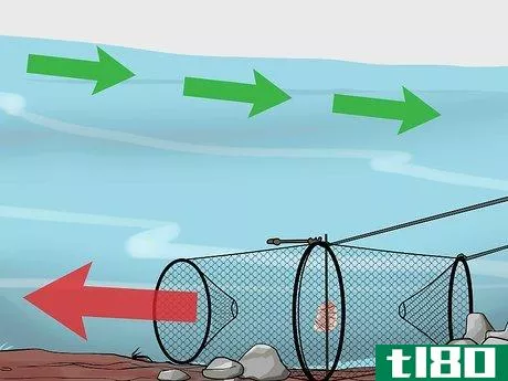 Image titled Bait and Use a Minnow Trap Step 8