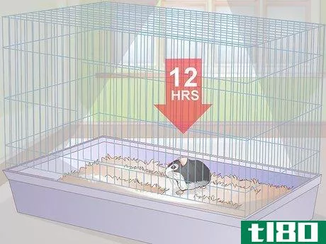 Image titled Breed Dwarf Hamsters Step 4