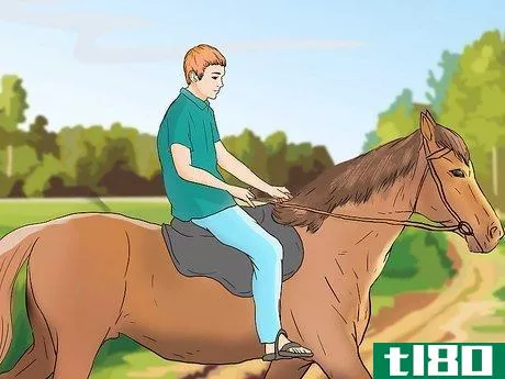 Image titled Care for a Blind Horse Step 11