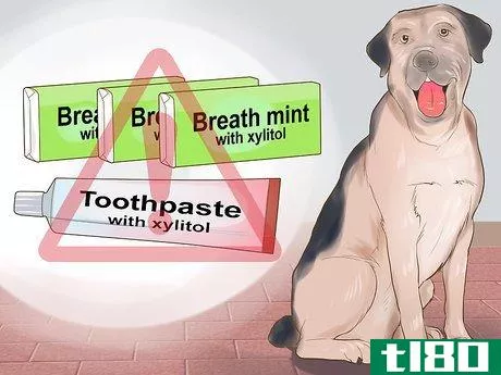 Image titled Avoid Foods Dangerous for Your Dog Step 5