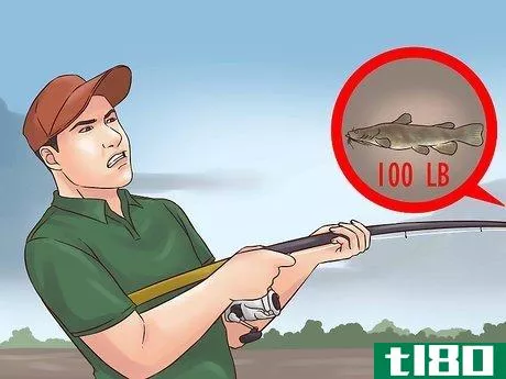 Image titled Catch Flathead Catfish Step 10