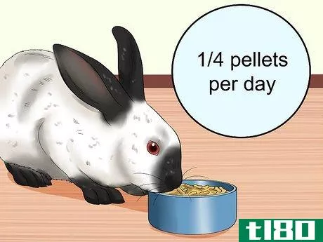 Image titled Care for Californian Rabbits Step 2