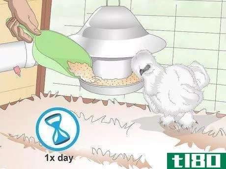 Image titled Care For Silkie Chickens Step 9