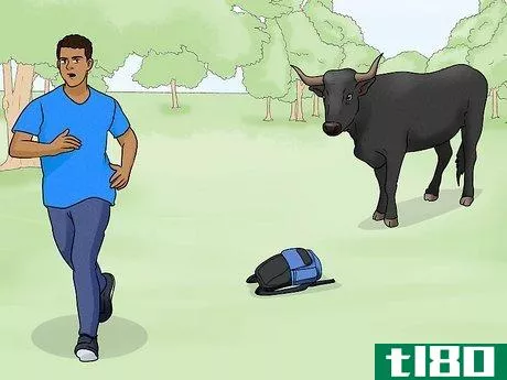 Image titled Avoid or Escape a Bull Step 9