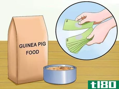 Image titled Buy a Guinea Pig Step 5