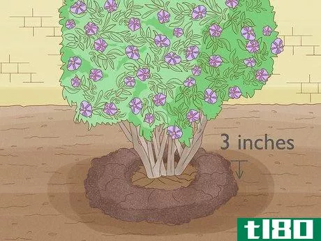 Image titled Care for a Purple Flower Potato Bush Step 4