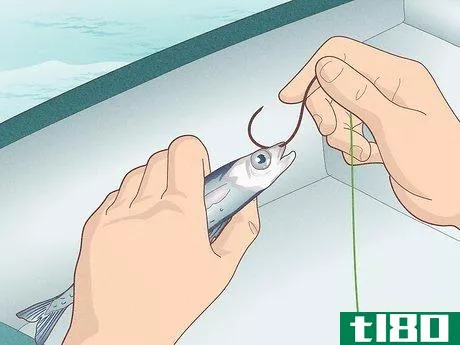 Image titled Catch Bluefin Tuna Step 1