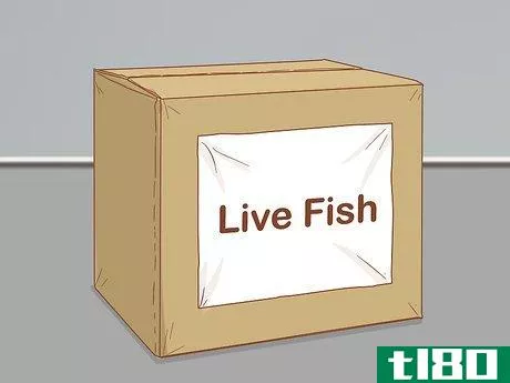 Image titled Bag and Ship Live Fish Step 10