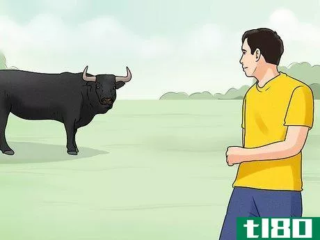 Image titled Avoid or Escape a Bull Step 6