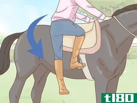 Image titled Calm Your Horse Down Quickly Step 9