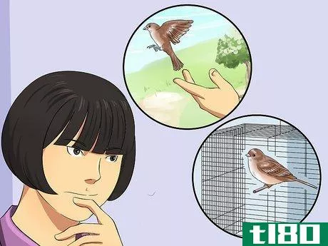 Image titled Care for an Injured Wild Bird That Cannot Fly Step 17