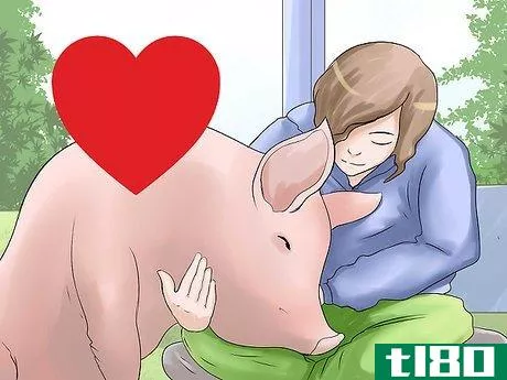 Image titled Care for a Pet Pig Step 4