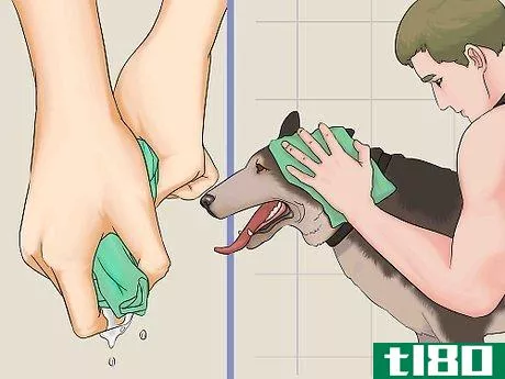 Image titled Bathe a Dog in a Shower Step 14