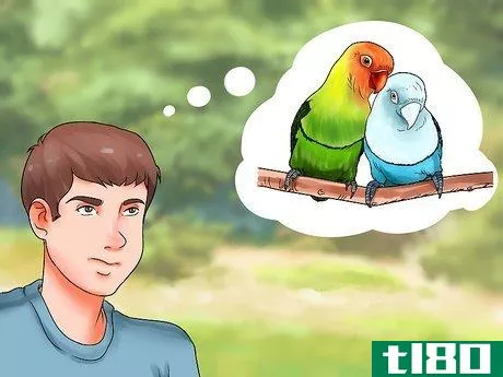 Image titled Care for a Lovebird Step 1