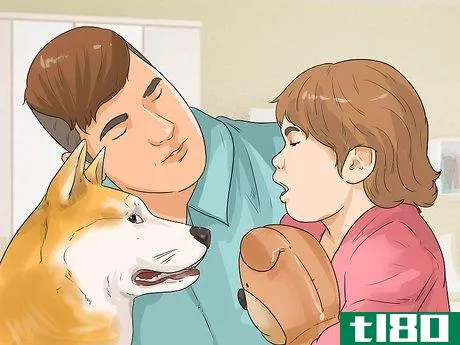 Image titled Care for an Akita Inu Dog Step 10