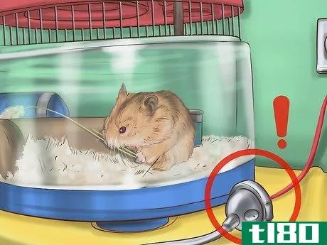 Image titled Create a Bond With Your Hamster Step 11