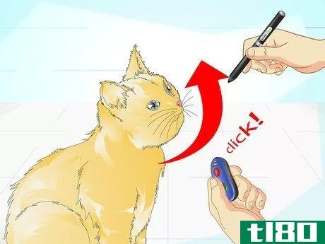 Image titled Clicker Train a Cat Step 12