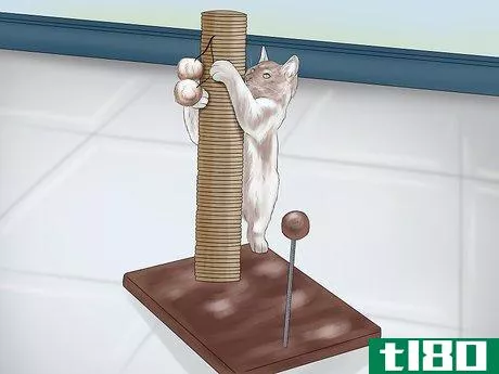 Image titled Choose a Scratching Post or Pad for Your Cat Step 15