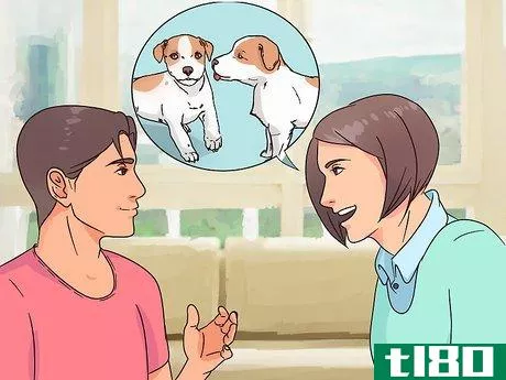 Image titled Choose a Jack Russell Puppy Step 12