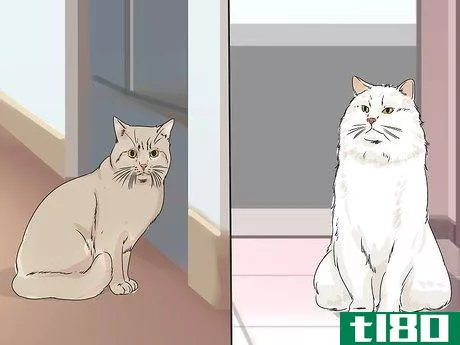 Image titled Change Your Cat's Routine Step 4