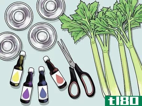 Image titled Change the Color of a Celery Stalk Step 1