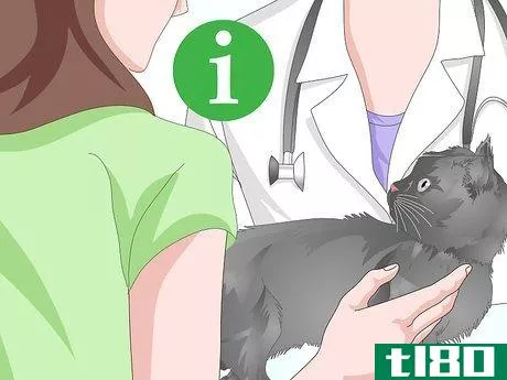 Image titled Check a Cat for Fever Step 17