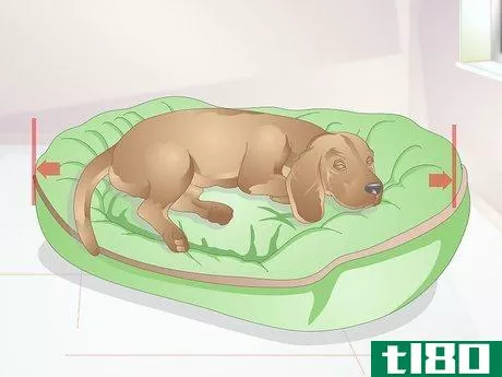 Image titled Choose a Place for Your Dog to Sleep Step 3