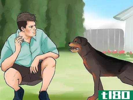 Image titled Choose the Right Dog Breed to Protect Your Home Step 10