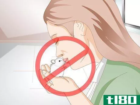 Image titled Clean a Hamster's Teeth Step 4