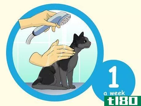 Image titled Deal With Being Allergic to Cats Step 5