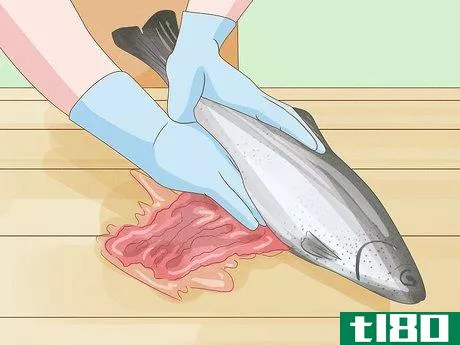 Image titled Clean a Fish Step 4