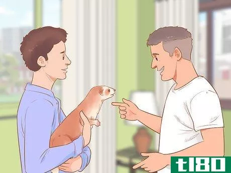 Image titled Clean a Ferret's Ears Step 3