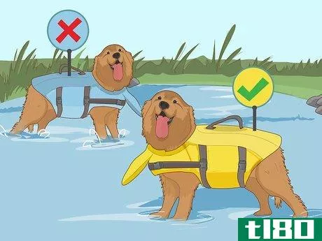 Image titled Choose the Right Life Jacket for Your Dog Step 5