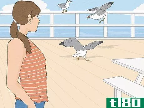 Image titled Deal with Aggressive Seagulls Step 2