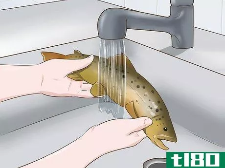 如何清洗鳟鱼(clean a trout)