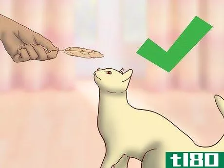Image titled Choose Toys for a Senior Cat Step 3