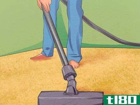 Image titled Clean Carpets Step 9