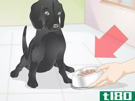 Image titled Create a Feeding Routine for Your Dog Step 5