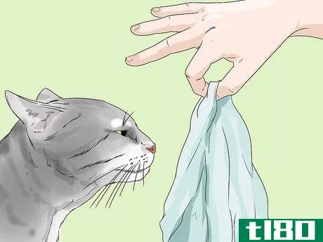 Image titled Change Your Cat's Routine Step 5