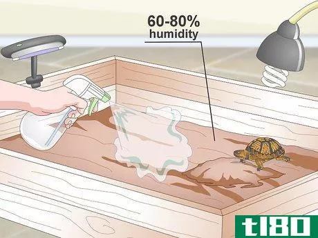 Image titled Create an Indoor Box Turtle Habitat Step 13