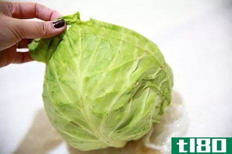 Image titled Cook Cabbage Step 2