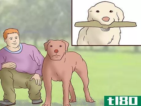 Image titled Choose the Right Dog for Your Family Step 5