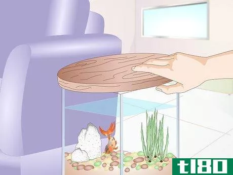 Image titled Creatively Decorate a Freshwater Fish Tank Step 2