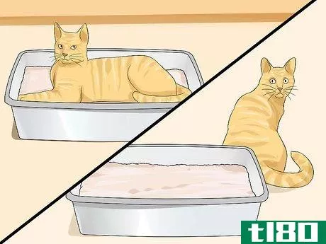 Image titled Clean a Litter Box Step 12