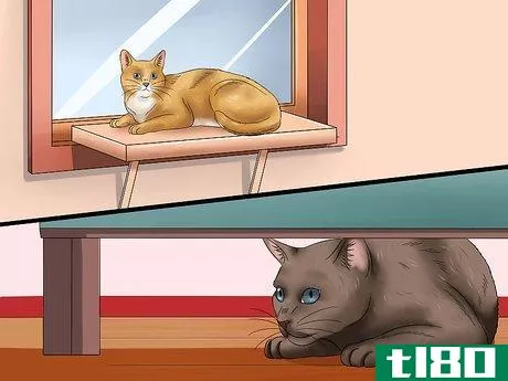 Image titled Create a Room for Your Cat Step 3