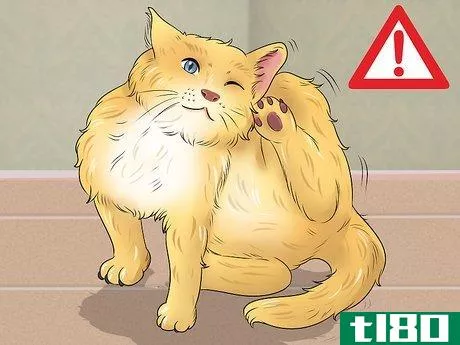 Image titled Deal with Cat Food Allergies Step 1