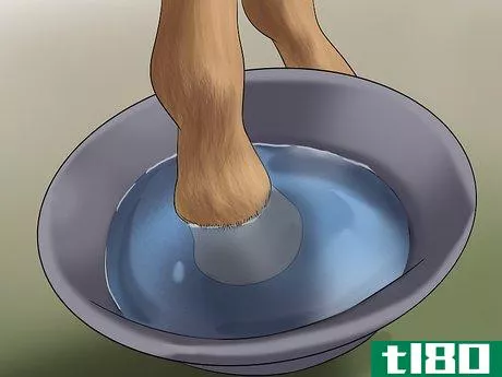 Image titled Clean and Buff a Horse's Hooves Step 3